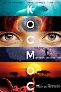 Космос: Пространство и время